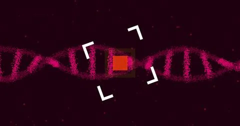 DNA strand image with yellow square and white brackets over dark background Stock Illustration