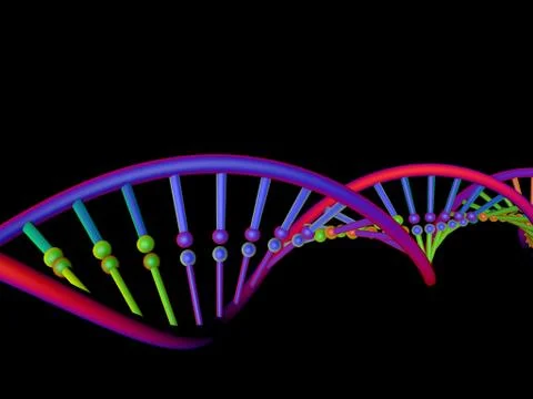 DNA strand. Isolated on black background. 3D rendering illustration. 스톡 일러스트