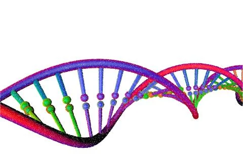 DNA strand. Isolated on white background. Vector illustration. Stock Illustration