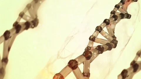 Dna Strand in light background. Seamless Loop Video stock 89463371