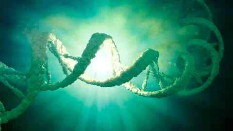 DNA strand model Stock Illustration