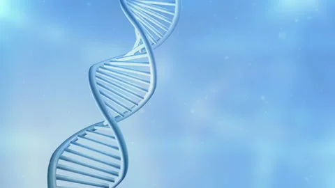 Dna Strand Model On Light Blue Backgroun Stock Video Pond5 Dna Strand Model On Light Blue Backgroun Stock Video Pond5