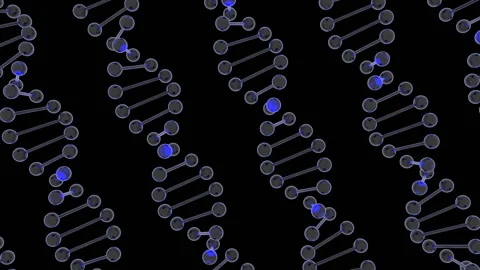 DNA Strand molecule close up animation. For visuals, biology, biotechnology Stock Footage 115320170