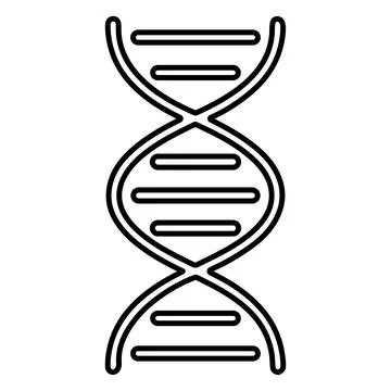 DNA Strand Outline Vector Icon. 스톡 일러스트