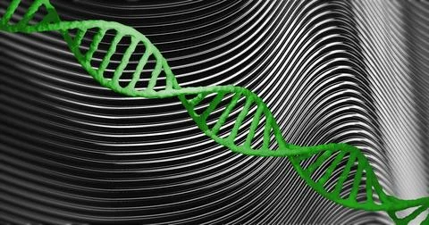 DNA strand over black and white wavy lines, scientific concept Stock Illustration