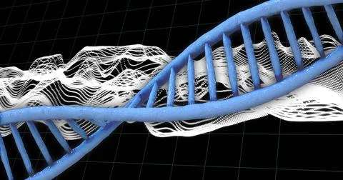 DNA strand over dynamic wave patterns and grid background, scientific data Illustrazione stock