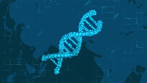 DNA Strand Over Map: Exploring Genetics Across Continents and Borders Vídeos de archivo 339121479