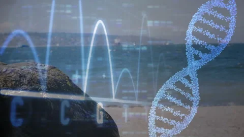 DNA strand processing animation over coastal landscape with data elements Stock Footage 306264946