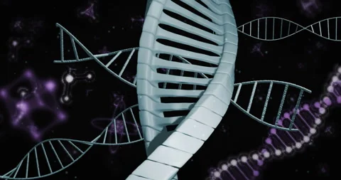 DNA strand processing with binary coding, scientific data animation in school Stock Footage 303536318