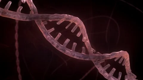 DNA Strand - Red Version 1 Stock Footage 2809385