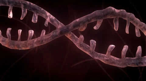 DNA Strand - Red Version 2 Stock Footage 2805133