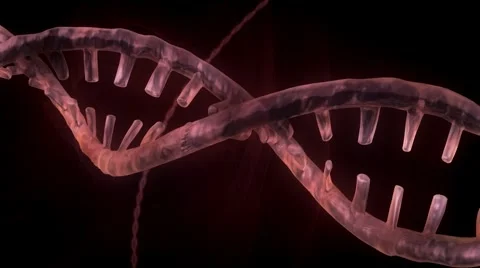 DNA Strand - Red Version 3 Stock Footage 2895937