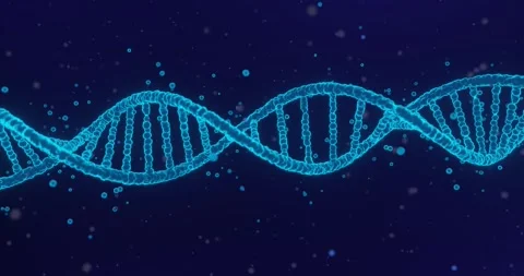 DNA STRAND ROTATING LOOP Stock Footage 256449704