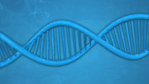 DNA Strand Rotating on a Plexus Background. Deoxyribonucleic Acid. 4K Stock Footage 279140462