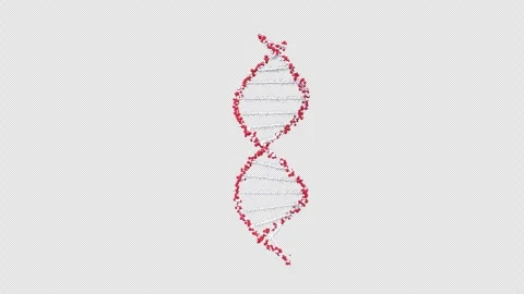 DNA Strand Science molecule design icon, concept animation with alpha channel Stock Footage 302992309