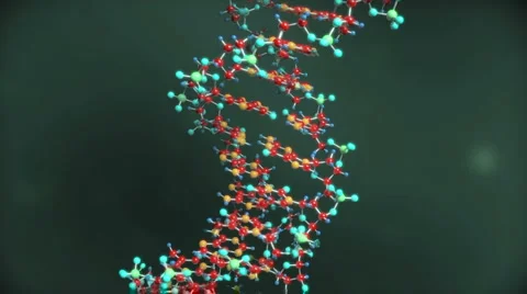DNA strand spinning Video stock 1070218