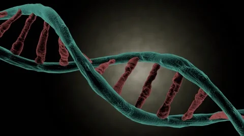 DNA strand spinning Stock Footage 42754491