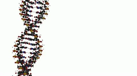 DNA Strand spinning on white background - loop 스톡 동영상 18836094