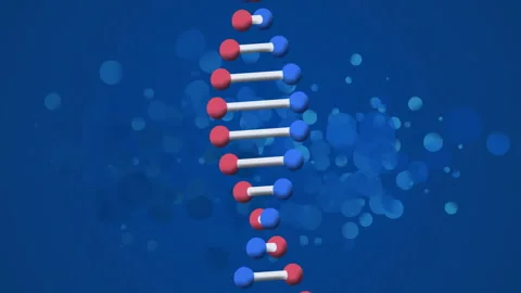 DNA strand structure animation with blue and red molecules on blue background Stock Footage 305133397