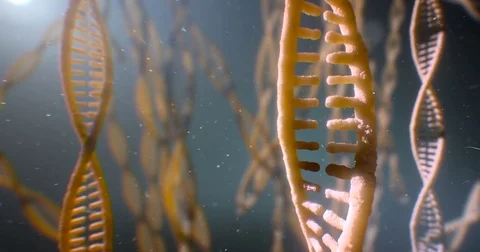 Dna strand structure seamless loopable animation 4k UHD Vídeo Stock 80258932