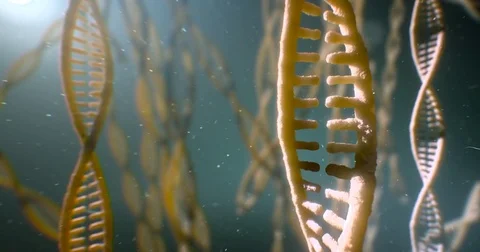 Dna strand structure seamless loopable animation 4k UHD Vídeo Stock 80258938