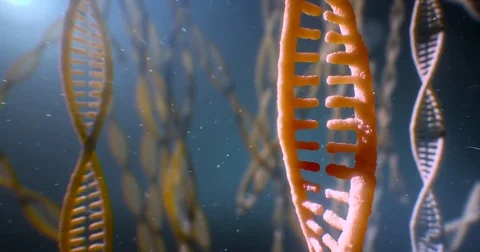 Dna strand structure seamless loopable animation 4k UHD 스톡 동영상 80258941