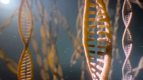 Dna strand structure seamless loopable animation 8k UHD Vídeo Stock 80259016