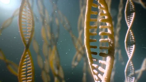 Dna strand structure seamless loopable animation 8k UHD Vídeo Stock 80259033