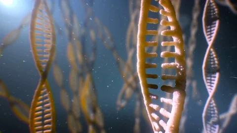 Dna strand structure seamless loopable animation 8k UHD Vídeo Stock 80259039