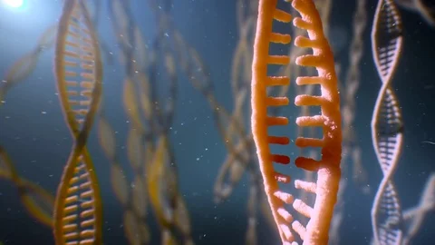 Dna strand structure seamless loopable animation 8k UHD 스톡 동영상 80259048