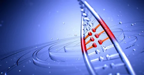 Dna strand structure seamless loopable animation 4k UHD Vídeo Stock 81555060