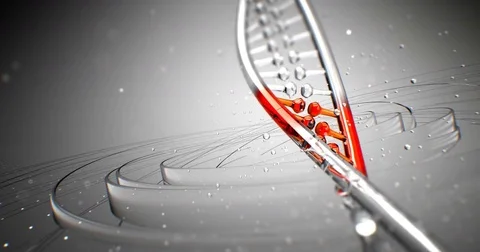 Dna strand structure seamless loopable animation 4k UHD Vídeo Stock 81555077