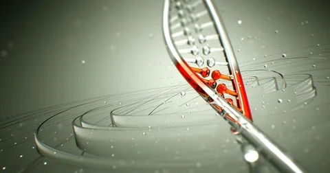 Dna strand structure seamless loopable animation 4k UHD Vídeo Stock 81555085