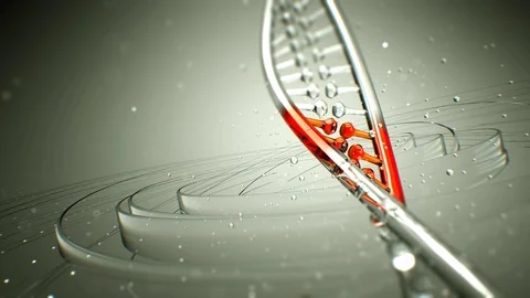 Dna strand structure seamless loopable animation 8k UHD Vídeo Stock 81555245