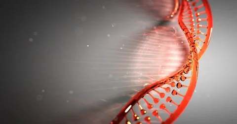 Dna strand structure seamless loopable animation 4k UHD Vídeo Stock 82500811