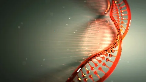 Dna strand structure seamless loopable animation 8k UHD Vídeo Stock 82501171