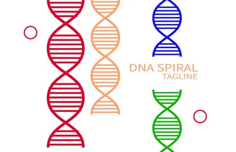 DNA strand symbol template vector icon illustration design. genetic and bio.. Stock Illustration