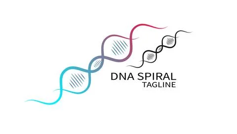 DNA strand symbol template vector icon illustration design. genetic and bio.. Stock Illustration