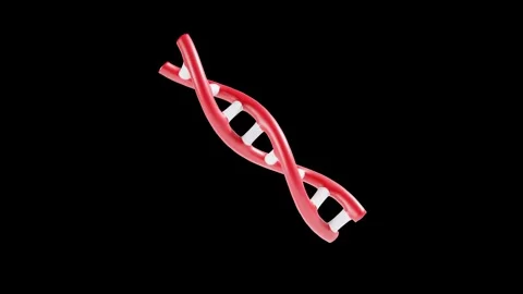 DNA Strand with Transparent Background in 3D Animation Stock Footage 309318493