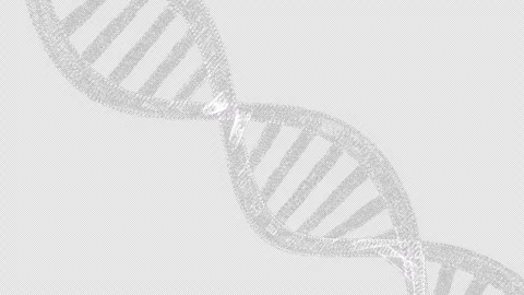 DNA Strand on a Transparent Background. Deoxyribonucleic acid. 4K Stock Footage 273590618