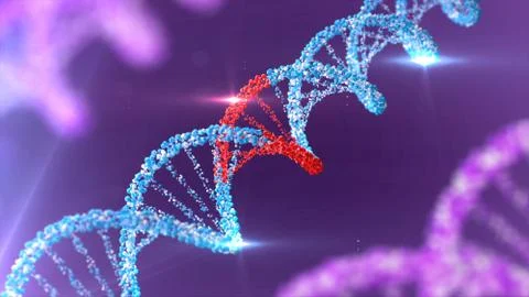 DNA strands. 3D rendering Stock Illustration