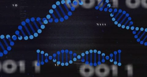 DNA strands and binary code, scientific data processing image Stock Illustration