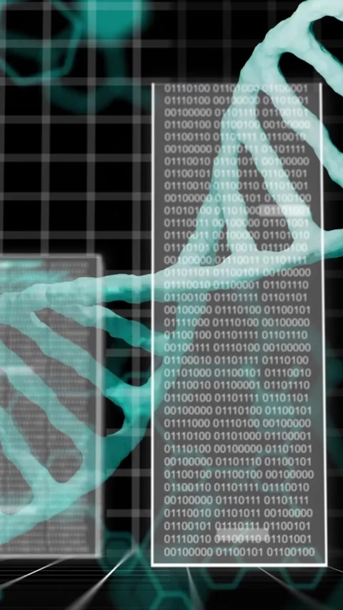 DNA strands and binary coding, scientific data processing animation Video stock 342997202