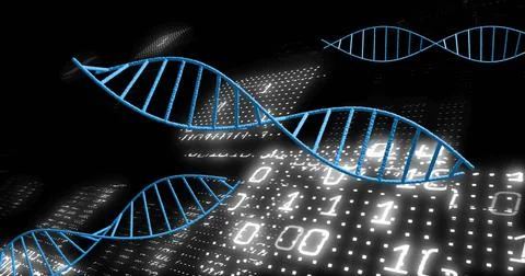 DNA strands and binary coding, scientific data processing image 스톡 일러스트