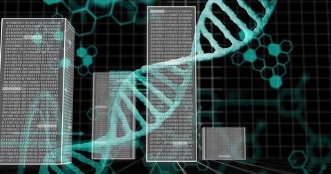 DNA strands and binary coding, scientific data processing image Stock Illustration