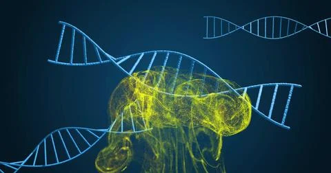 DNA strands and brain image, scientific data processing Stock Illustration
