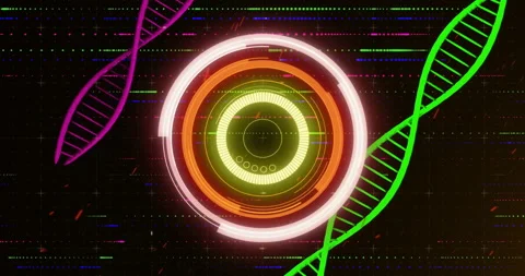 DNA strands and circular digital interface, scientific data processing animation Stock Footage 306720245