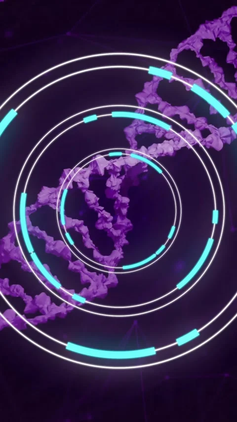 DNA strands and circular digital interface, scientific data processing animation Stock Footage 343645316