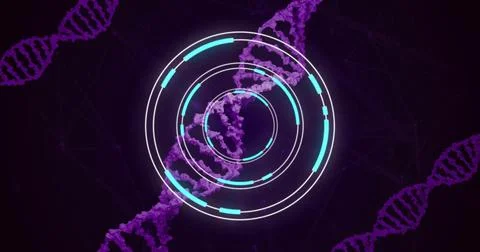 DNA strands and circular digital interface, scientific data processing image Stockillustratie