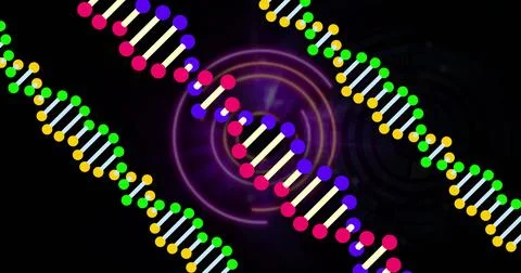 DNA strands and circular patterns, scientific data processing image 스톡 사진